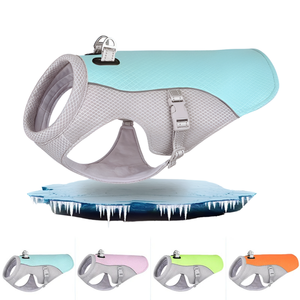 Summer Dog Cooling Vest - Trendi Gadgets