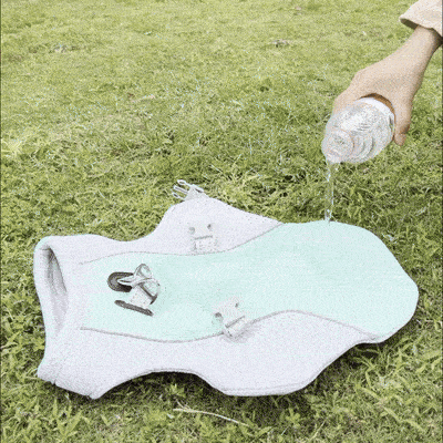 Summer Dog Cooling Vest - Trendi Gadgets